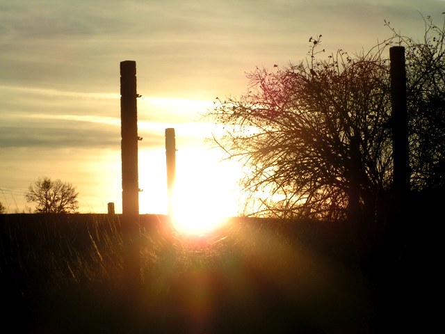 Sonnenuntergang in den Weing&auml;rten