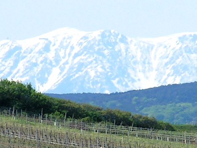 Der morgendliche Schneeberg von der Praxis aus fotografiert