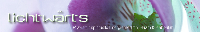 Logo Lichtw&auml;rts 